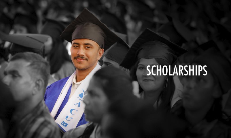 international-scholarship